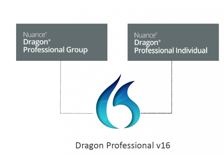 Dragon Professional V16 Documentation – QFVB